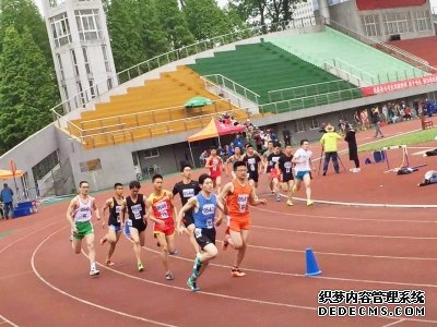 田径接力赛速度团队协作创佳绩